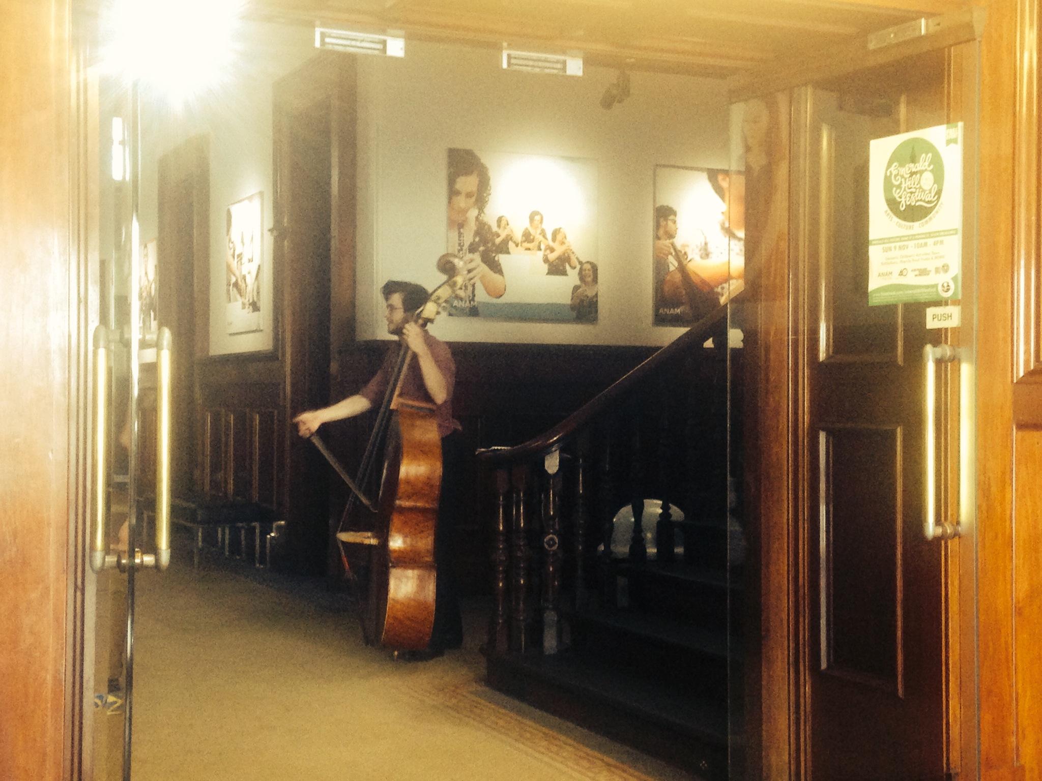 Double bassist 2014